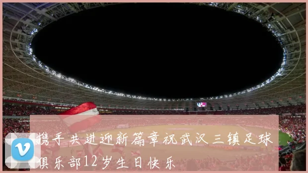 携手共进迎新篇章祝武汉三镇足球俱乐部12岁生日快乐