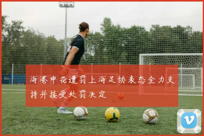 海港申花遭罚上海足协表态全力支持并接受处罚决定