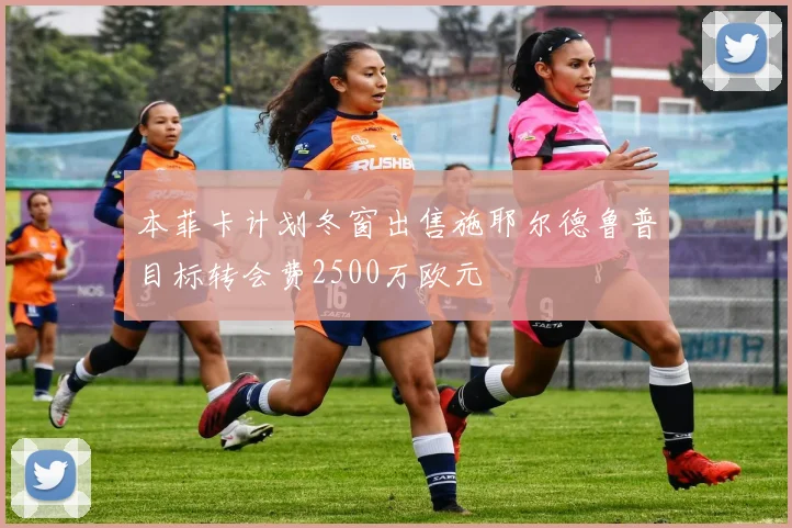 本菲卡计划冬窗出售施耶尔德鲁普目标转会费2500万欧元