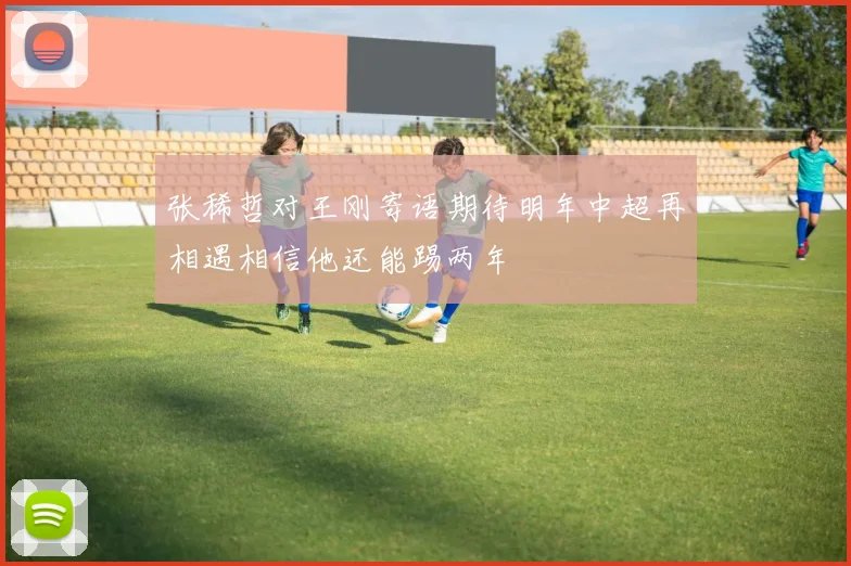 张稀哲对王刚寄语期待明年中超再相遇相信他还能踢两年