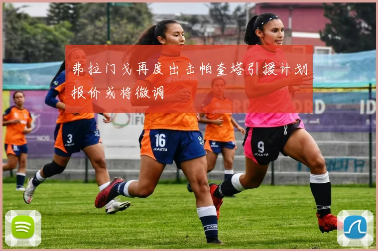 弗拉门戈再度出击帕奎塔引援计划报价或将微调