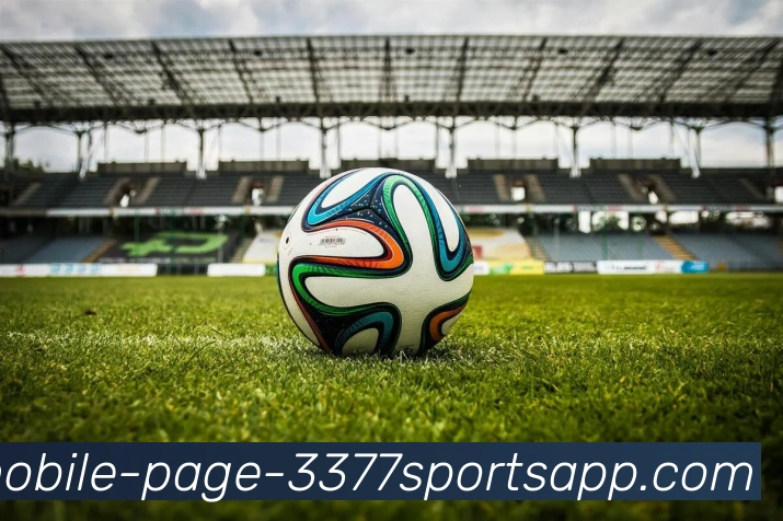 3377体育平台生态图