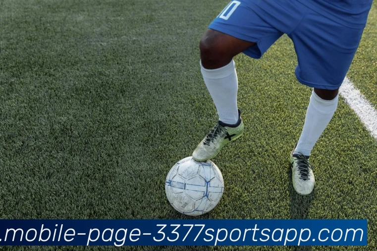 3377体育APP 封面图